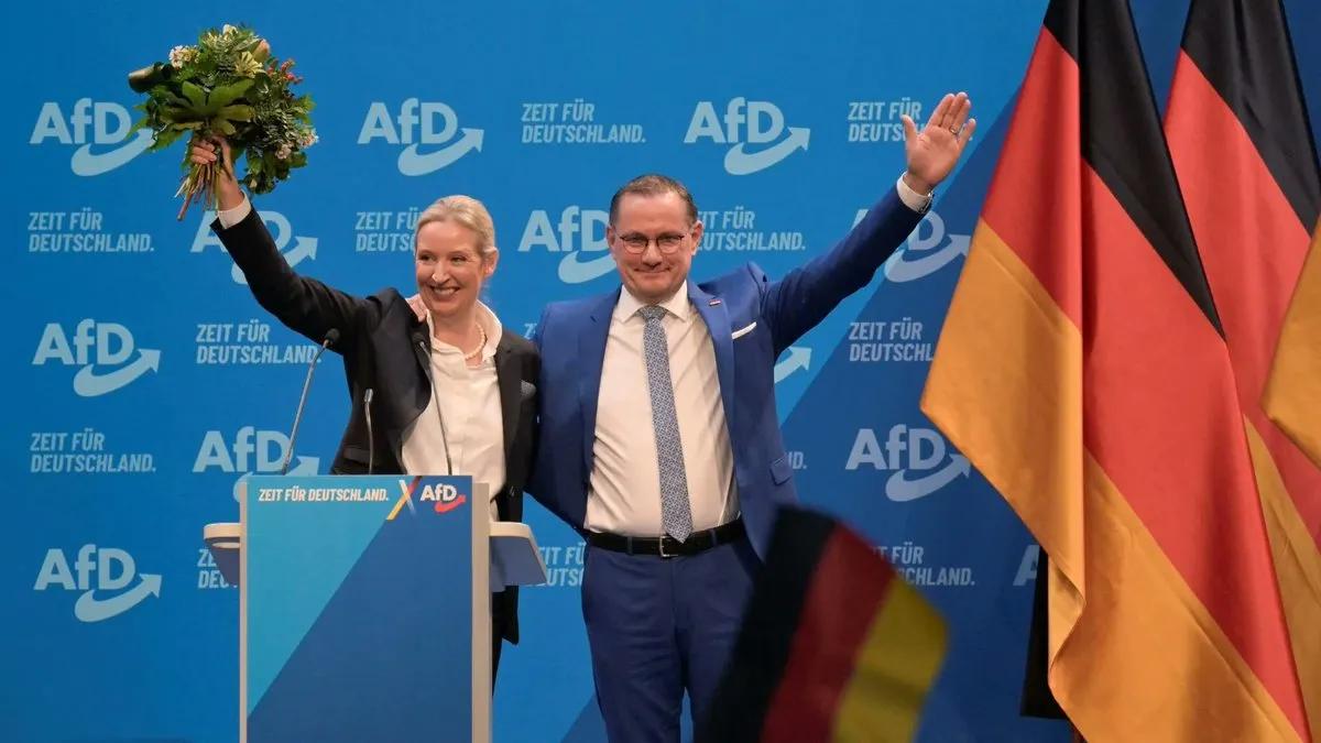 “俄罗斯干预”论调在德国大选前开始出现

由于德国选择党（AfD）在二月份大选前