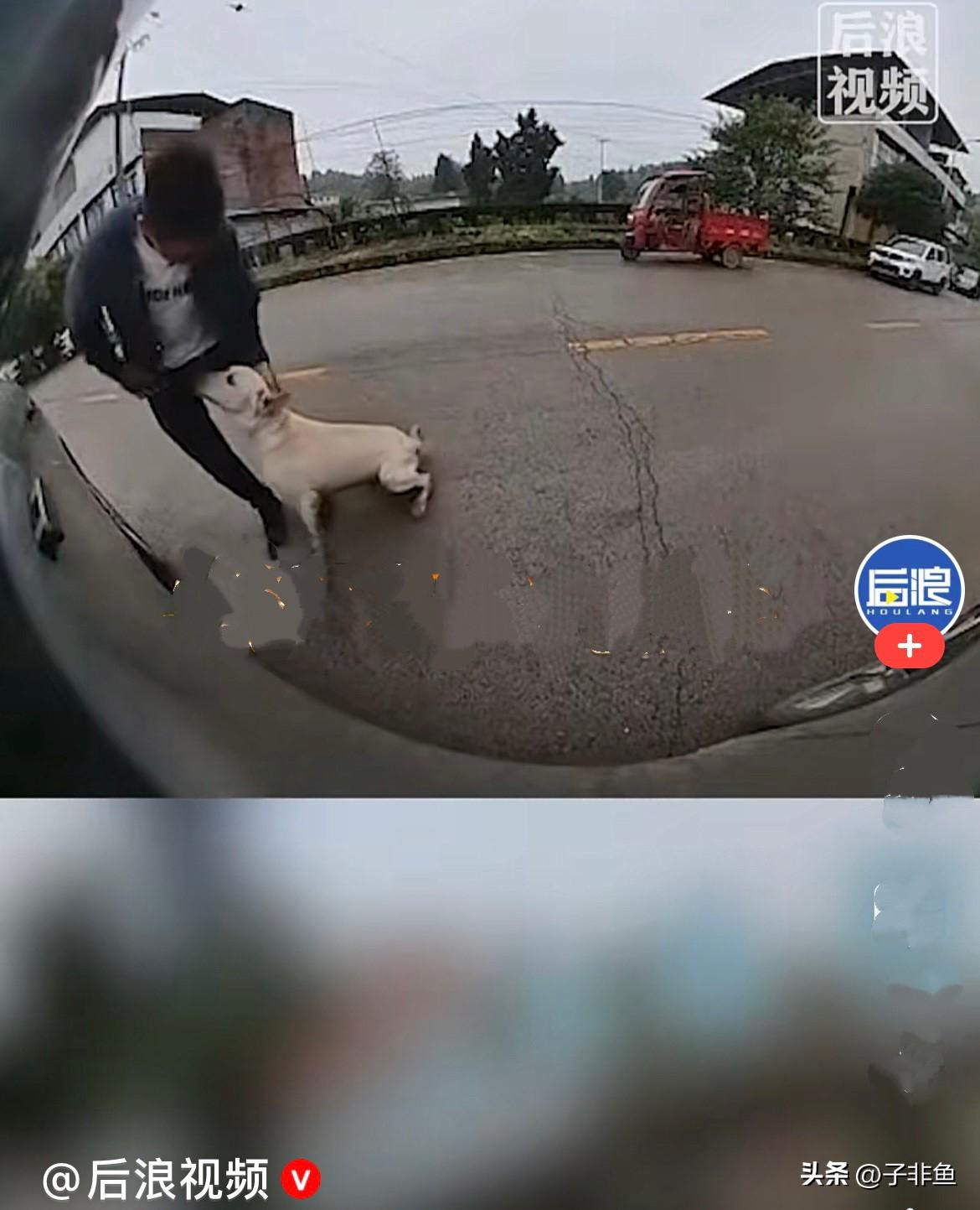 近日，重庆荣昌一幕人和宠物的重逢，太感人了……
         一位男子开车在