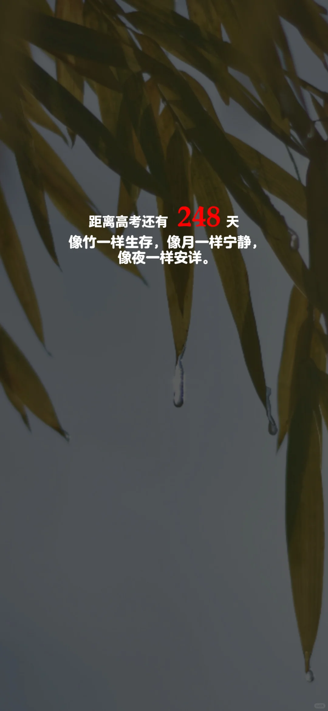 2025高考倒计时，每日更新。