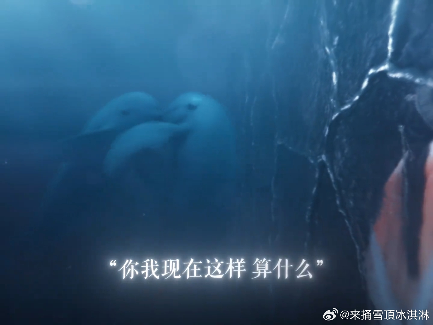内娱首个豚替戏李一桐清醒吻绝了！豚豚贴贴暗示：南珩你露馅了！ ​​​