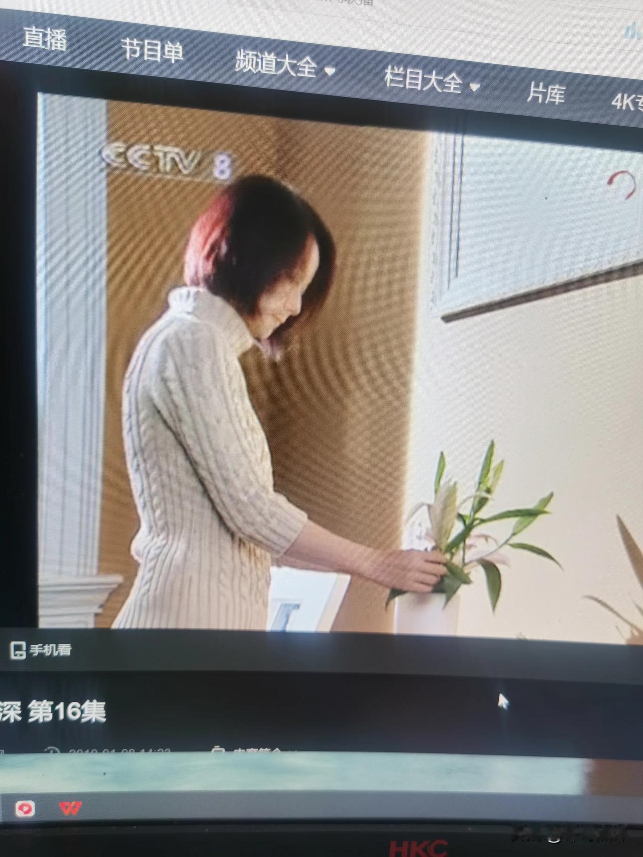 今天休息，在家里小房间看陆毅主演的电视剧一网情深，是23年前拍的，时间真快！因为