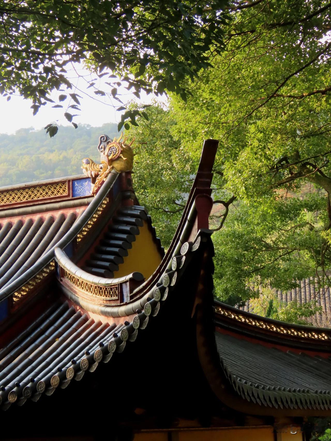 古色古香的中国建筑，在绿树掩映中更显韵味。
阿育王寺