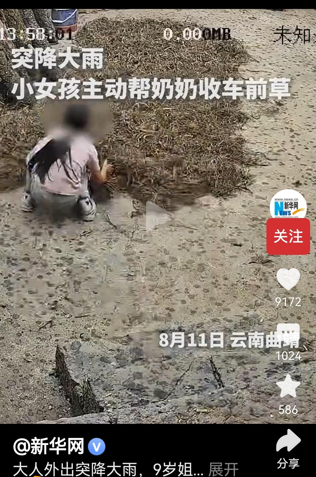 8月11日，云南曲靖。家里大人有事外出，院子空地上晾晒着车前草，这是一家人辛苦采