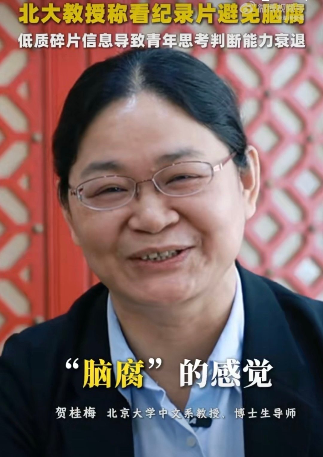北大教授称低质内容加剧青年脑腐52所学校看纪录片抵学分 北大教授贺桂梅在2025
