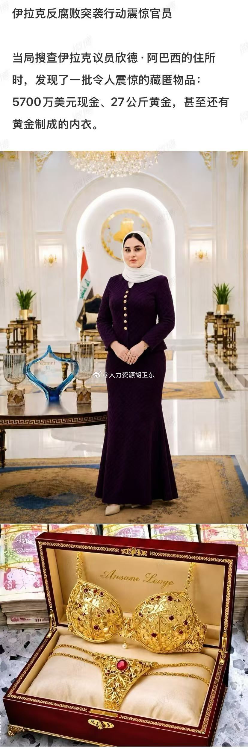 推翻萨达姆政权后的伊拉克女议员贪腐案件：家中搜出5700万美元现金，27公斤纯黄