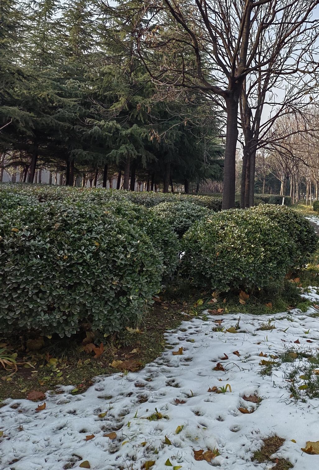 前天碰到一个老乡，比过去精神了很多。自言原来当“包工头”时压力特别大，现在外出打