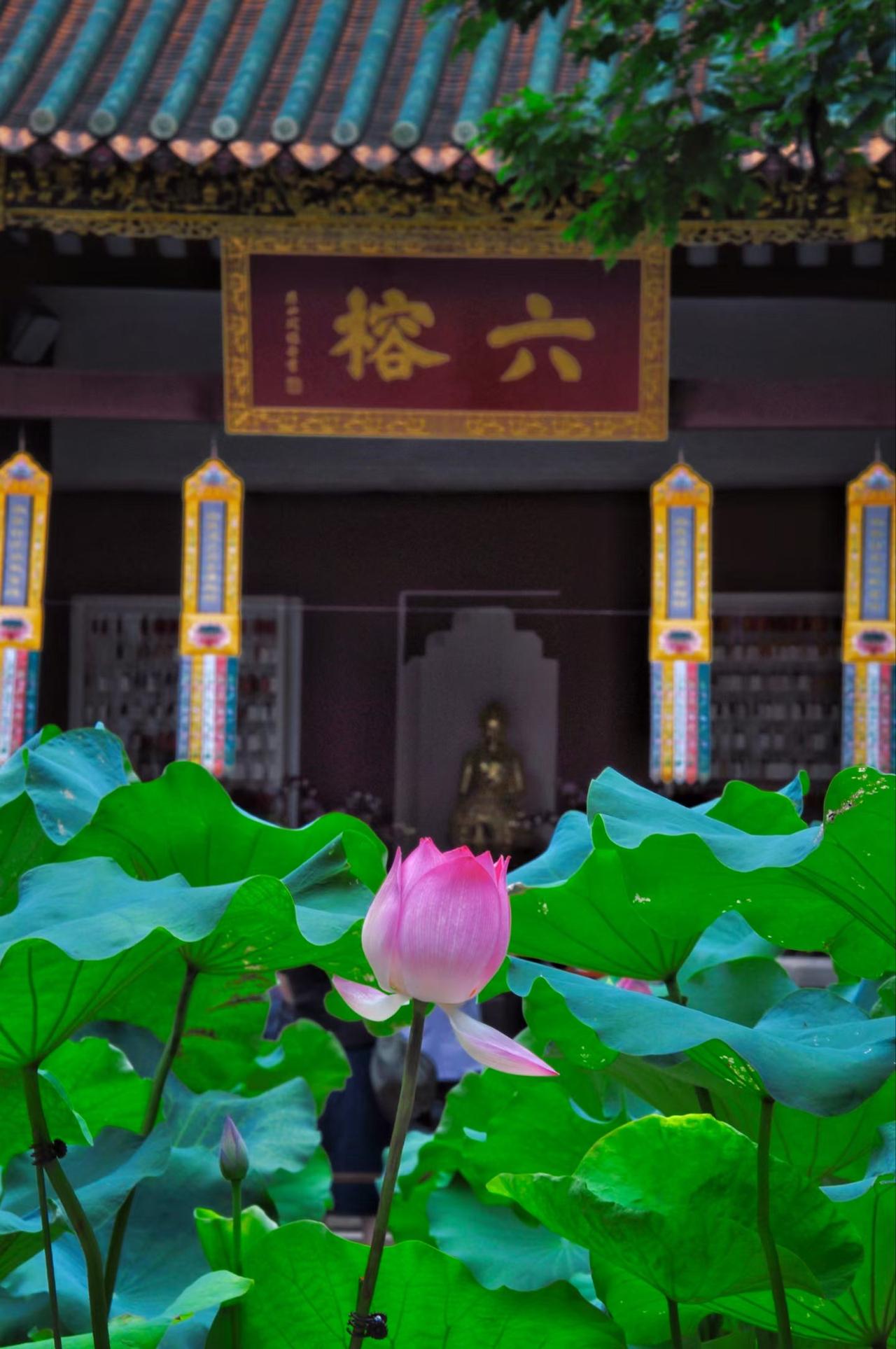 广州街道景色 广州美食 镜头下的广州 看看你拍的广州 城市观察员 城市.街拍 广