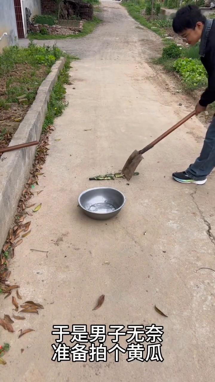 家里来亲戚男子无奈用铁掀拍黄瓜。
家里突然来了客人，由于父母都出去忙了，于是男子
