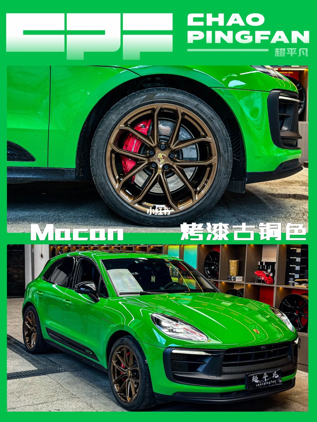 巨蟒绿-Macam GTS💚💚