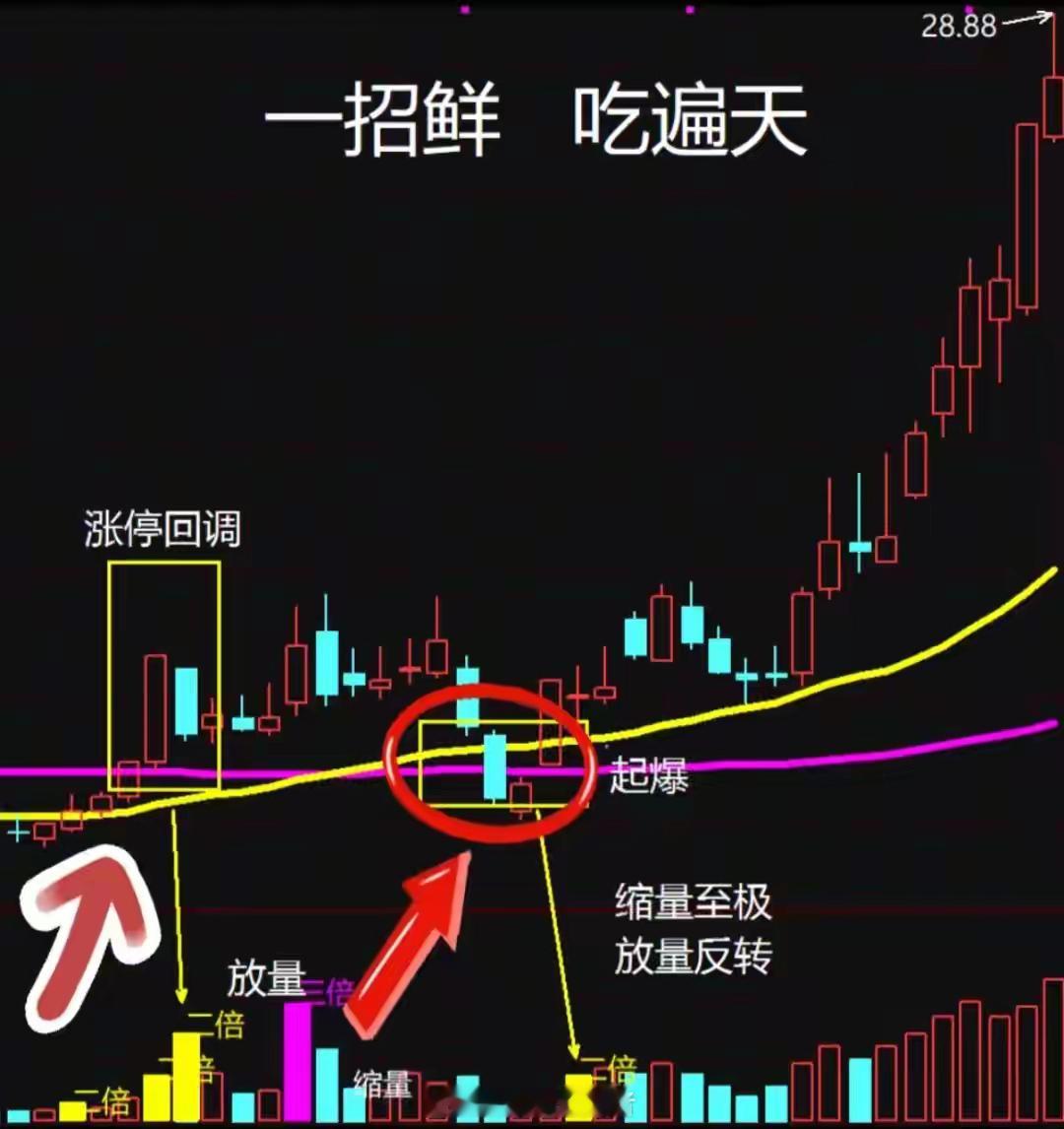 涨停回调战法：一招精准抄底主升浪起涨点，不再追高接盘在A股短线交易里，很多人都栽