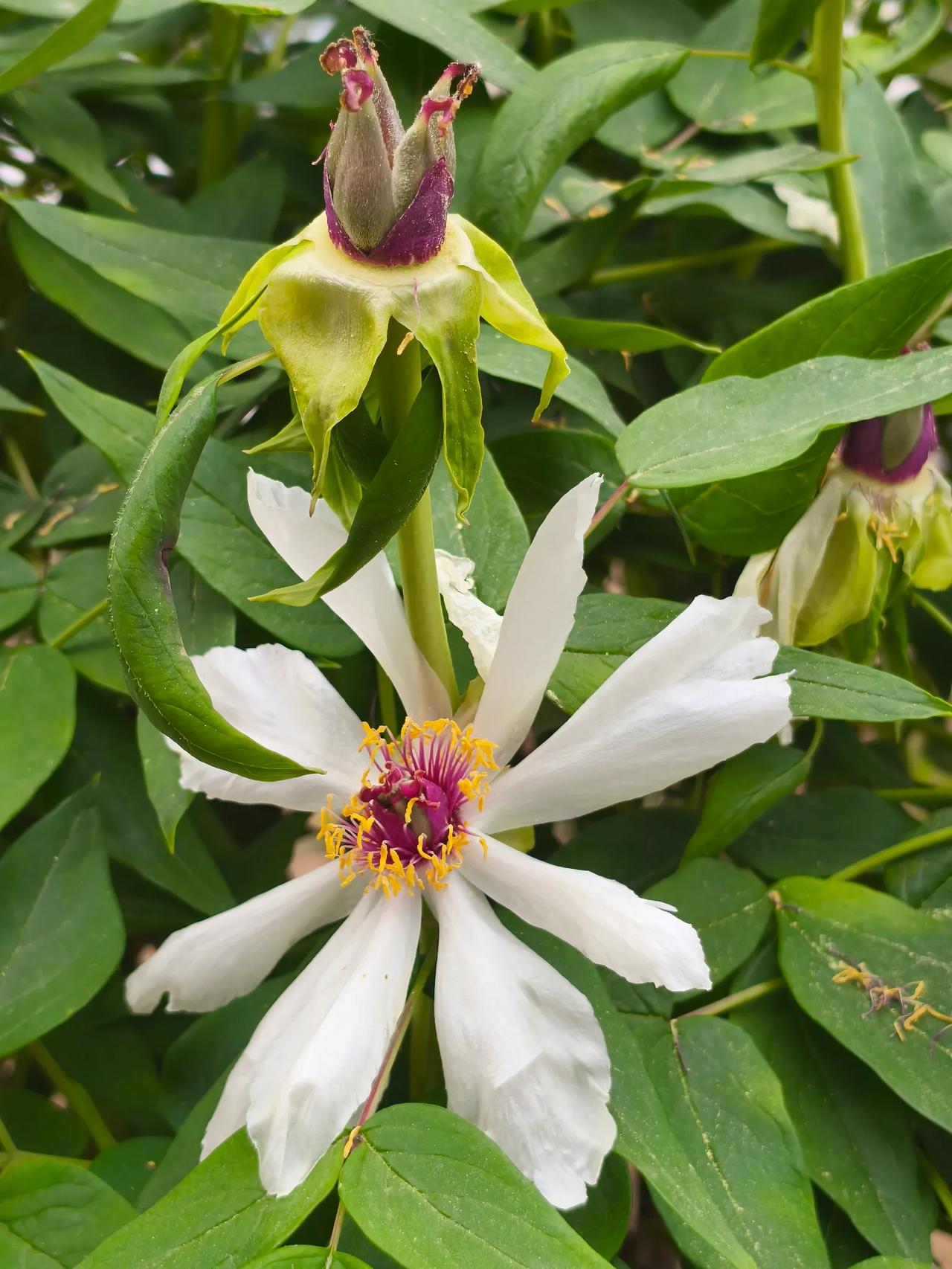 告诉我们一个道理，没有调查就没有发言权。不光看她说了什么，更要看她做了什么。到一