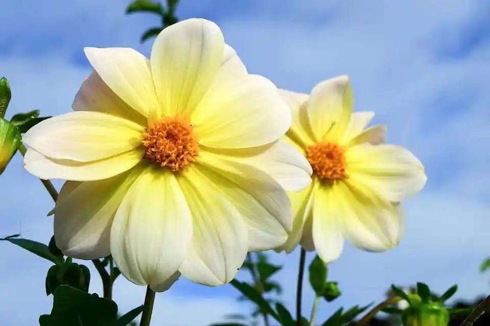 汪曾祺《人间草木》摘抄

1.人生一世，草木一秋。虽长有百年，那也是转眼即逝。