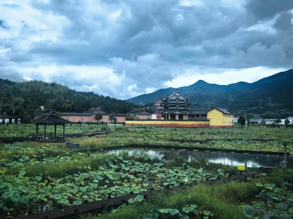 福建宁德、周宁的多肉基地：
  走进周宁花鲤小镇静宇园艺多肉植物种植基地，满目生