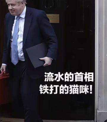 英国首相再次宣布辞职，网友调侃：流水的首相，铁打的唐宁街老猫！

英国首相斯塔默