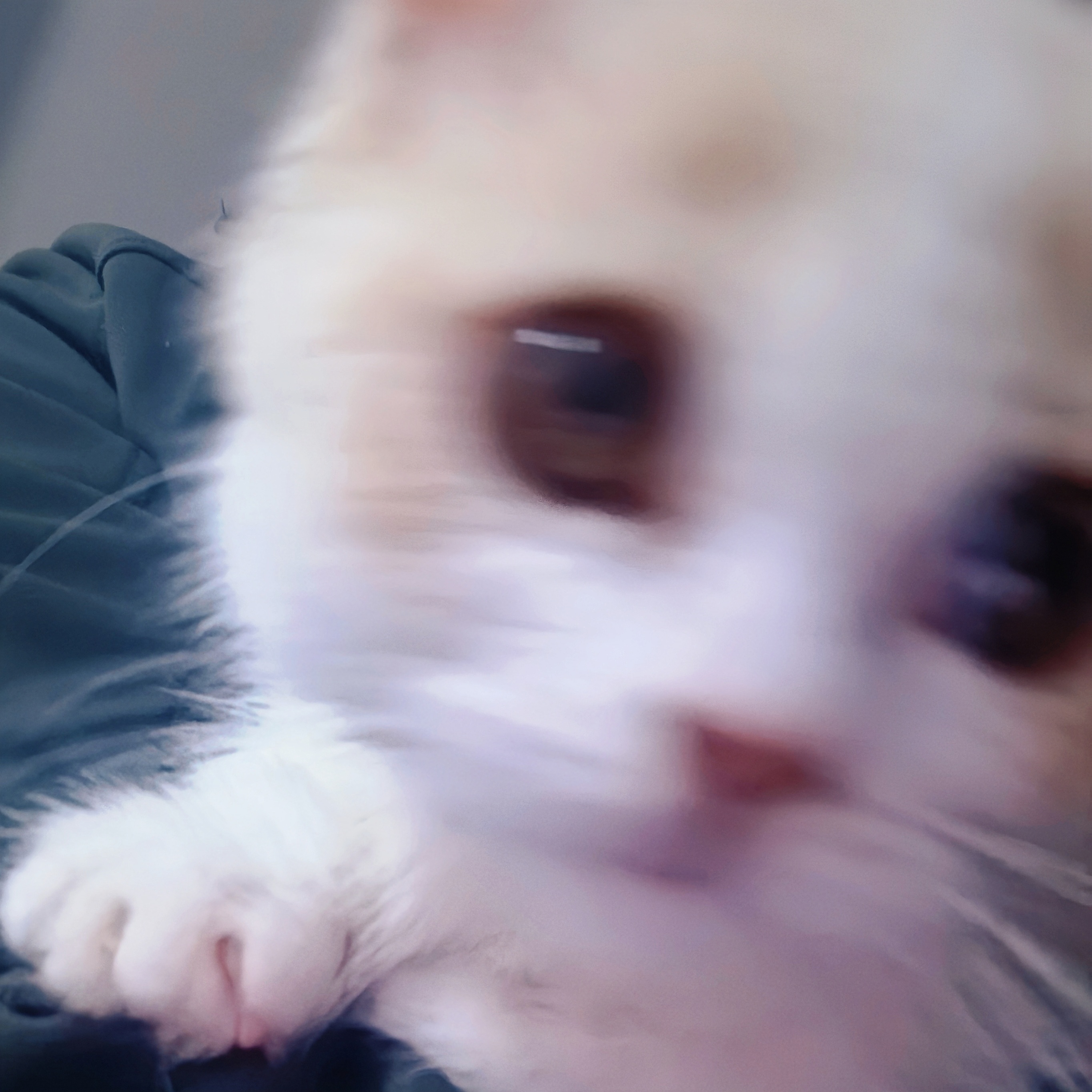 🥹🥹🥹🥹🥹🥹 