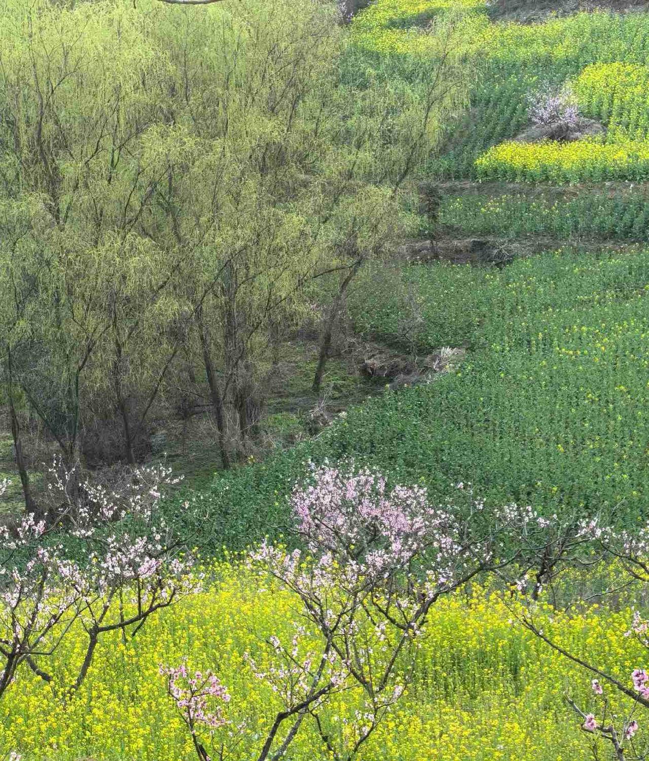 我的今日状态：😁轻松愉快
我这里的天气：🌤️多云