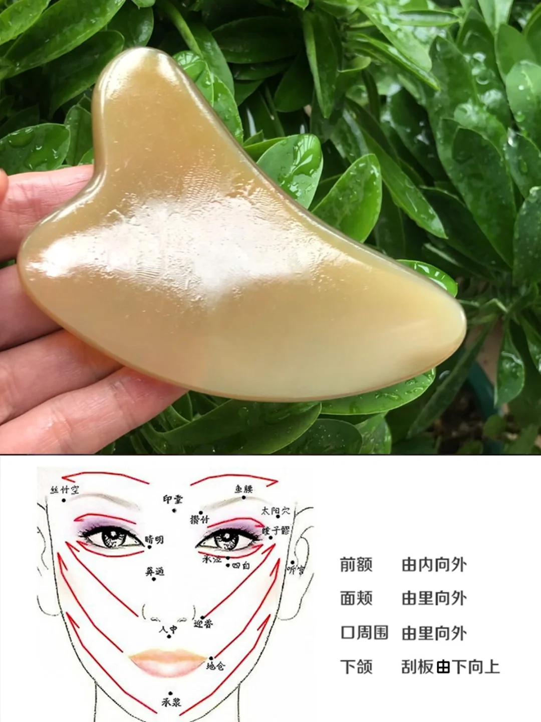 在家如何进行面部刮痧？记住8步，轻松学会