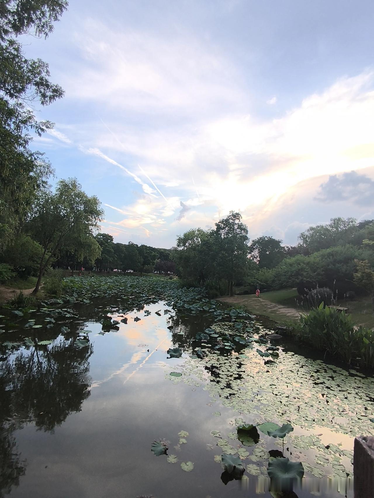 大家偶然拍到的天空有多惊艳南京明孝陵三号门傍晚的天空与湖色一体美[赞]