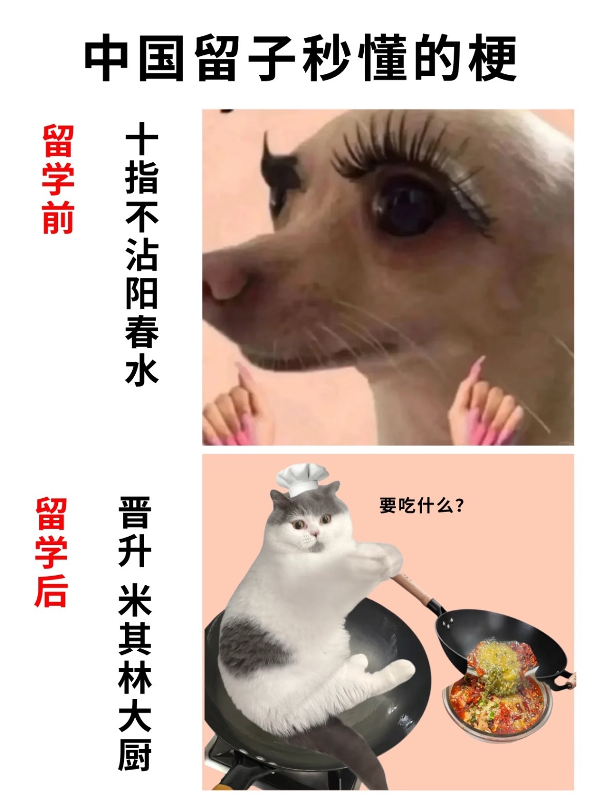 有没有经常看留学生做饭的？感觉都是被学业耽误的厨师出国前可能连泡面都煮不好，出国
