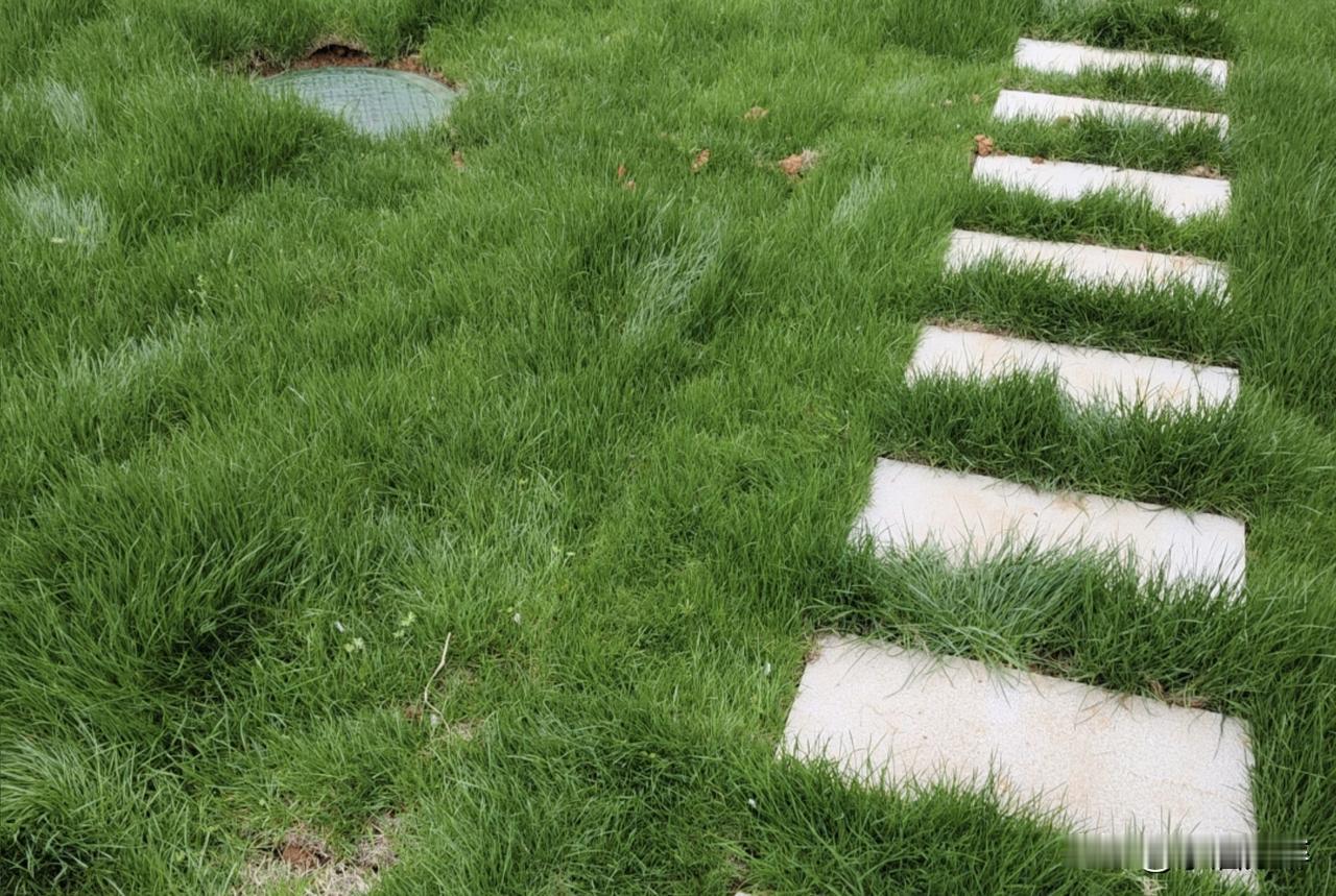 换车绝对是件很考验中年男人的事，我也不例外！
说来惭愧，车子跑得欢、工地调得勤、