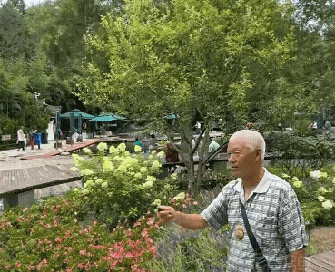 首次看到，惊艳了。老北京人会玩[强]遛鸟🐦遛狗🐶招蜂引蝶[呲牙]