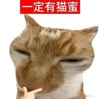 长沙未必有非洲凉快 刷新对炎热的认知，非洲不全是烈日灼人，长沙湿热buff叠满。