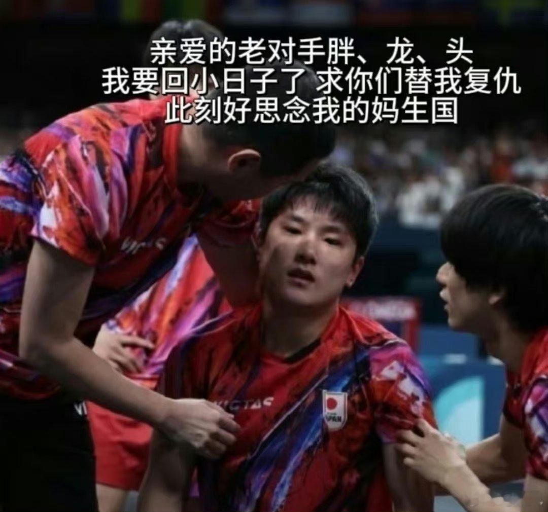 张本智和这小子是什么体质呢，奖牌不知道拿不拿的到，热搜是没少上。飞回深圳了，落地