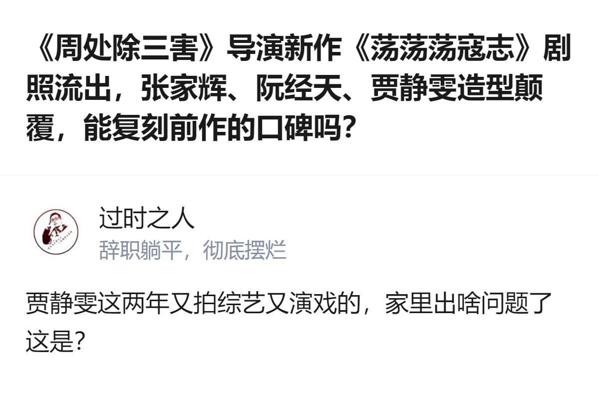 从现有信息看，《荡荡荡寇志》的故事围绕南埠“和兴”黑帮展开，核心是横跨20年的兄