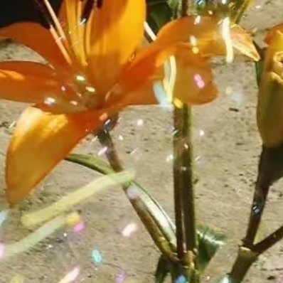 生活最好的状态，是眼里有希望，心中有力量。不抱怨、不纠结、不内耗，把时间花在变好