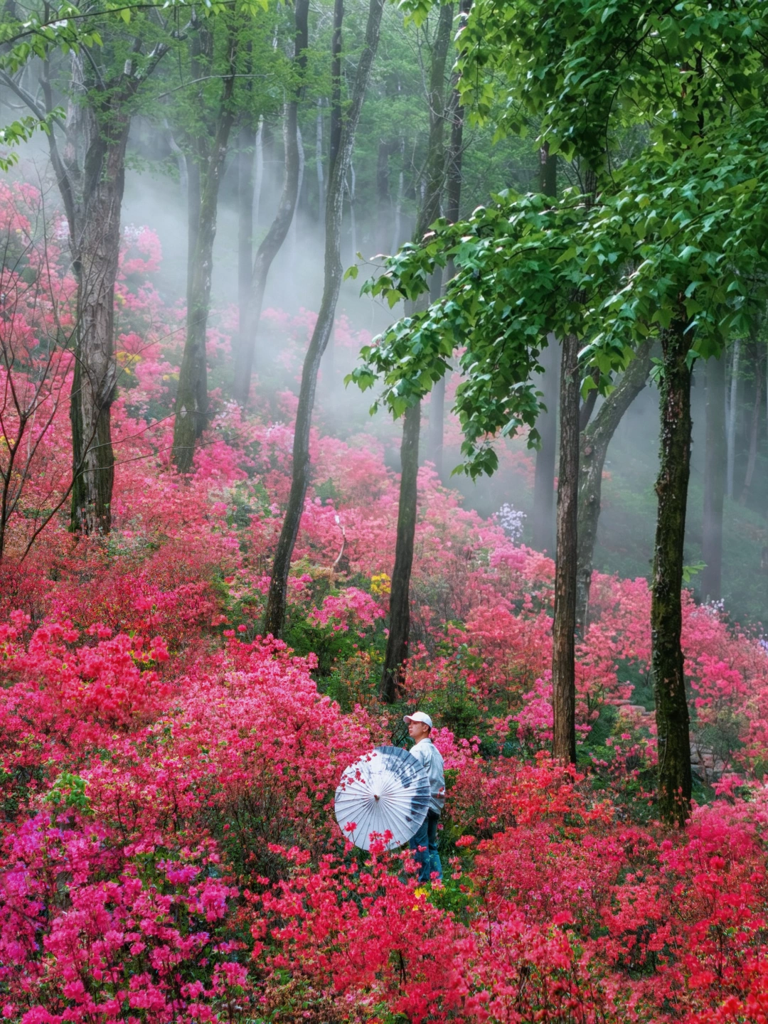 刚回来‼️安徽这座小镇美得不像话😭太出片了