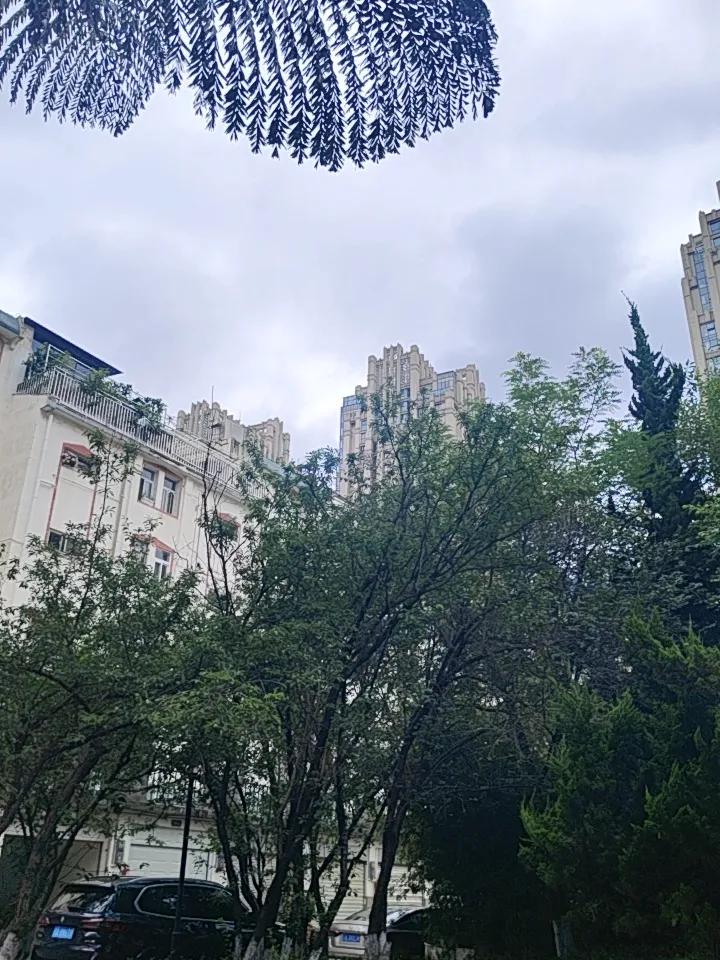 昆明这天气真是让人捉摸不透，昨晚又淅淅沥沥下了一夜雨，今天依旧阴沉沉的。这种天气