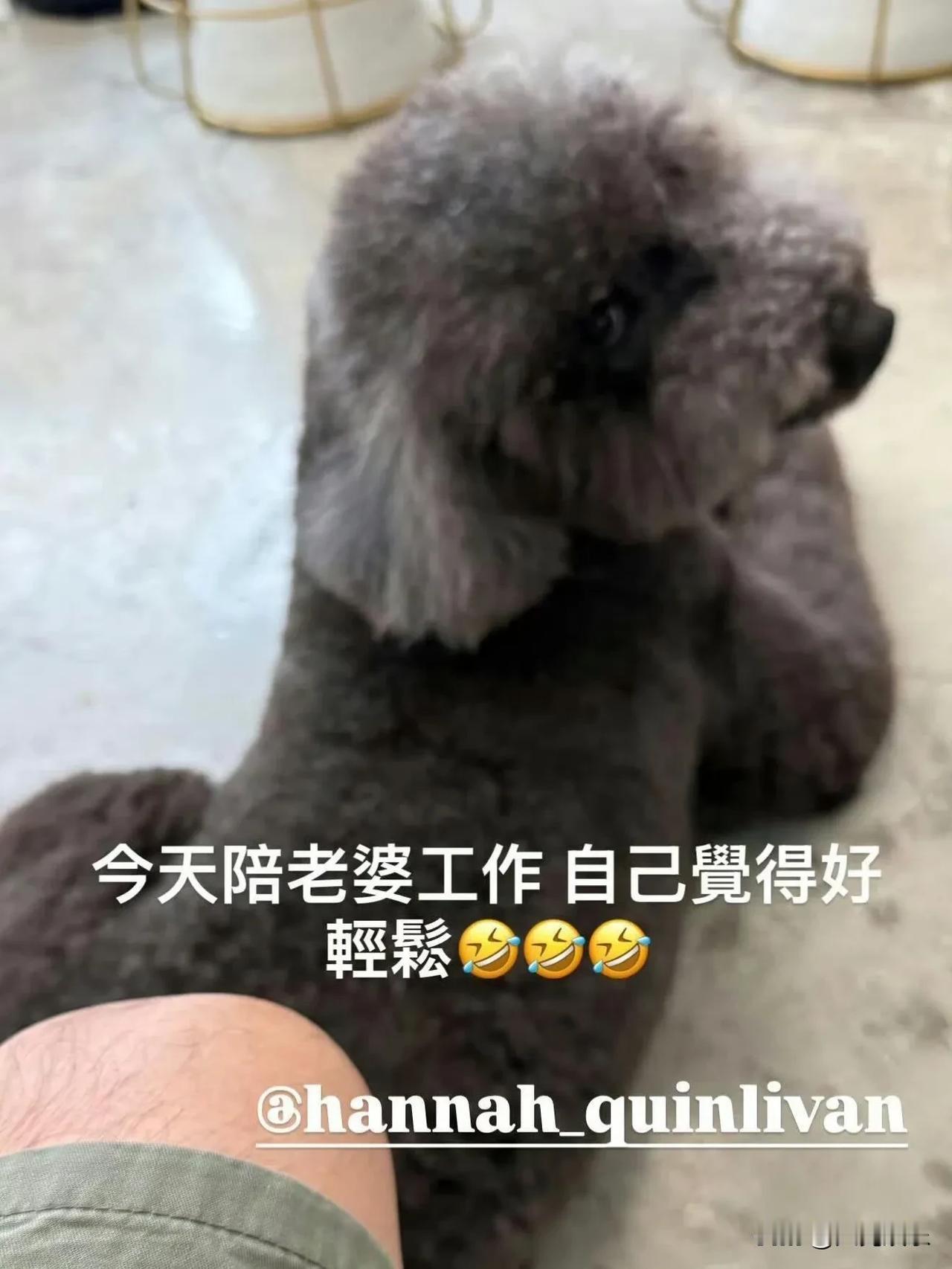 要不是看了周杰伦的最新动态，我都不知道昆凌还有工作？

7月15日，周杰伦在社交
