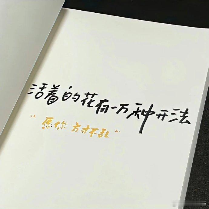 成年人的世界，每种选择都有遗憾，但选择并无对错，当下错不一定放在未来还是错，所以