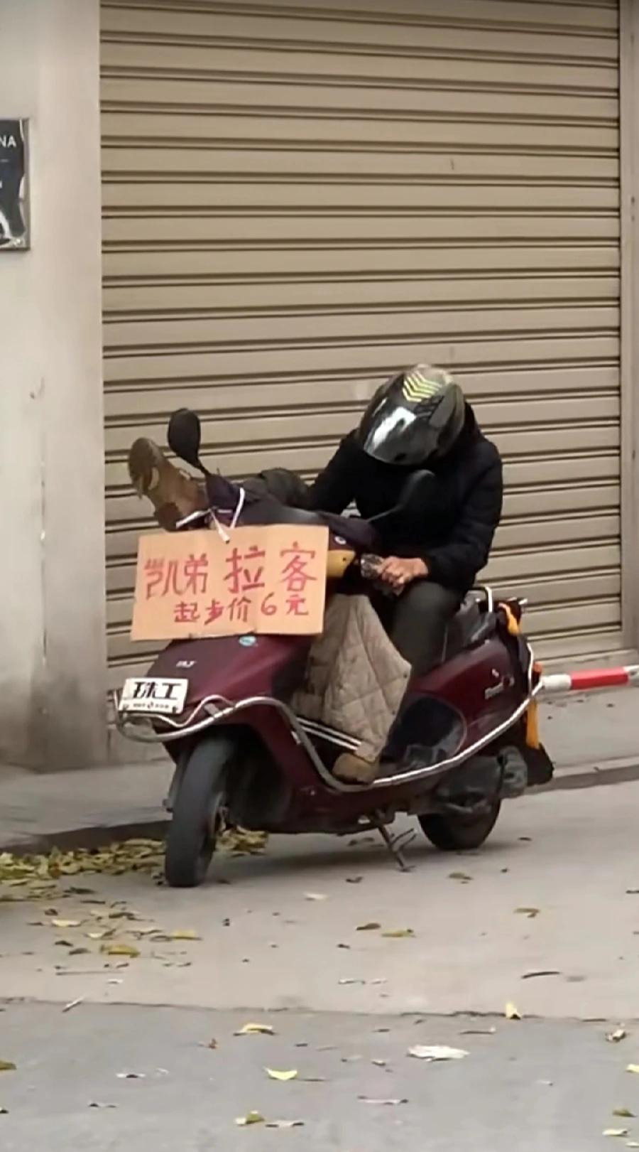 我怕那没拉[机智]