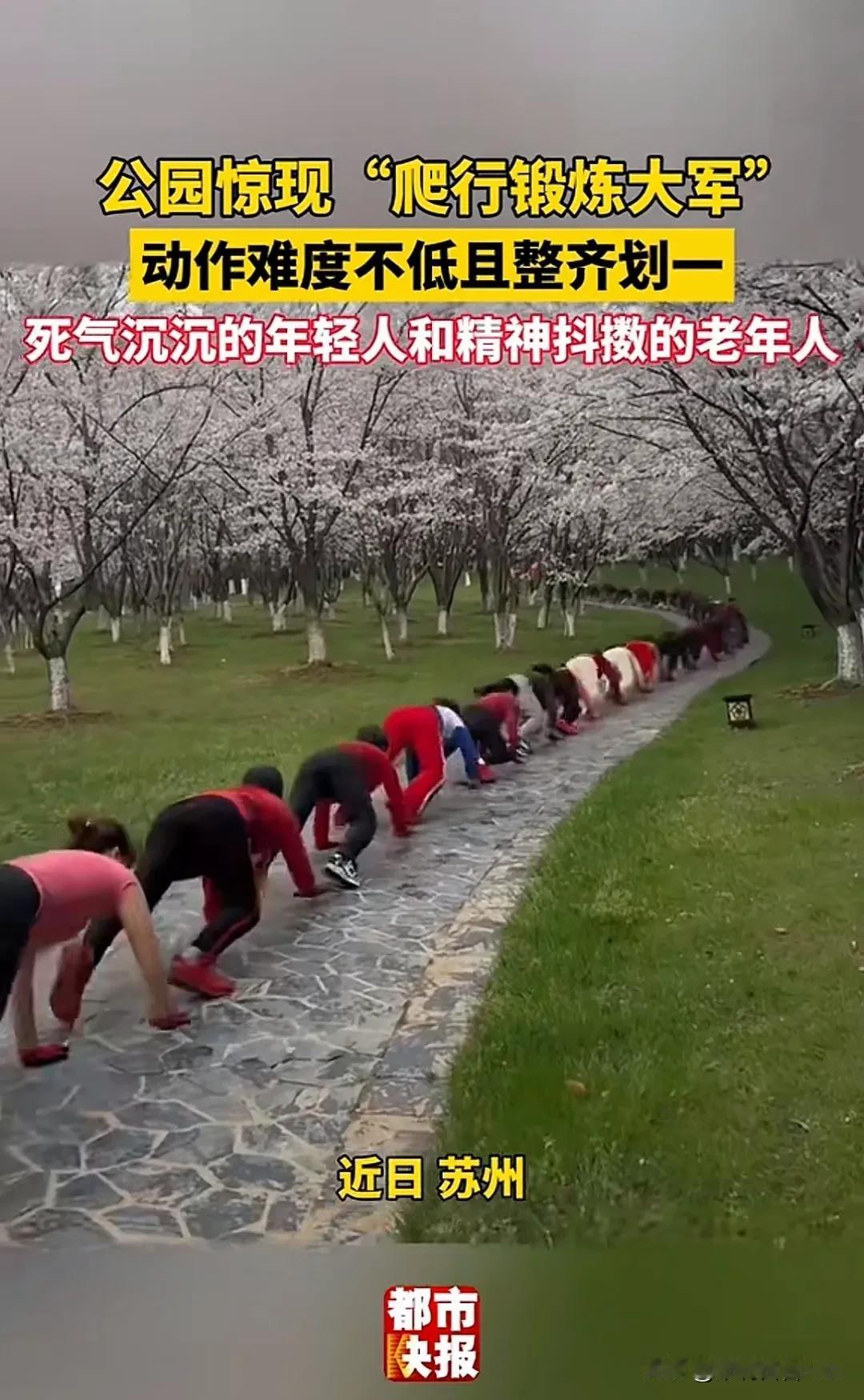 老年生活都那么卷了？这还是我们认识的老年人吗？精神抖擞得比年轻人都厉害！公园惊现