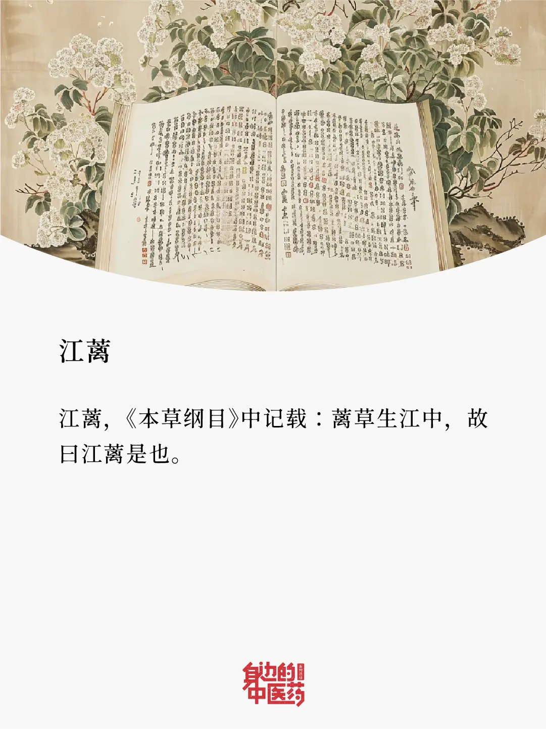 不懂就问，为什么中草药的名字都这么好听？