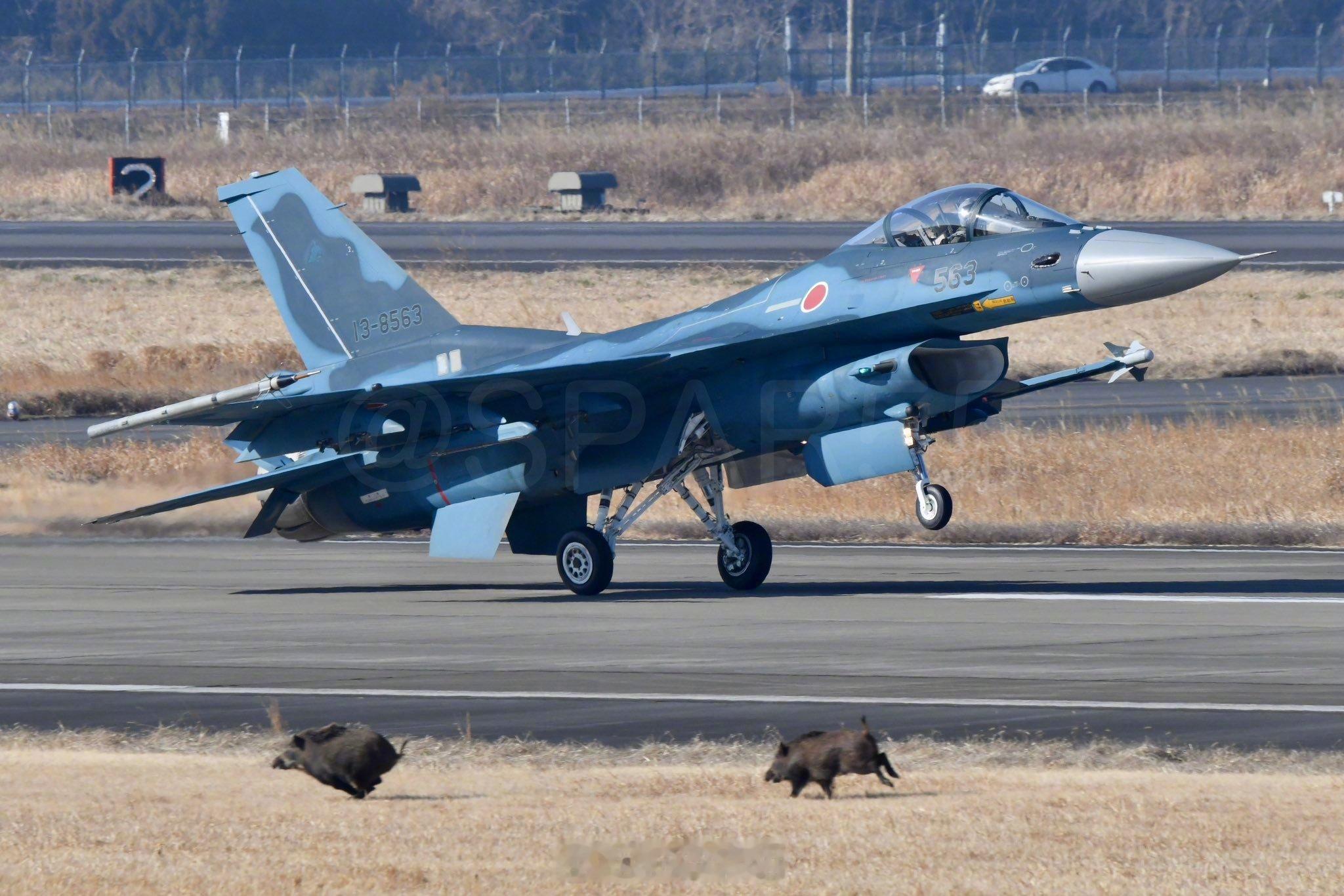 猪突猛进？战斗机险撞🐗日本一位航空爱好者在空自百里基地正好拍到F-2战斗机抬轮