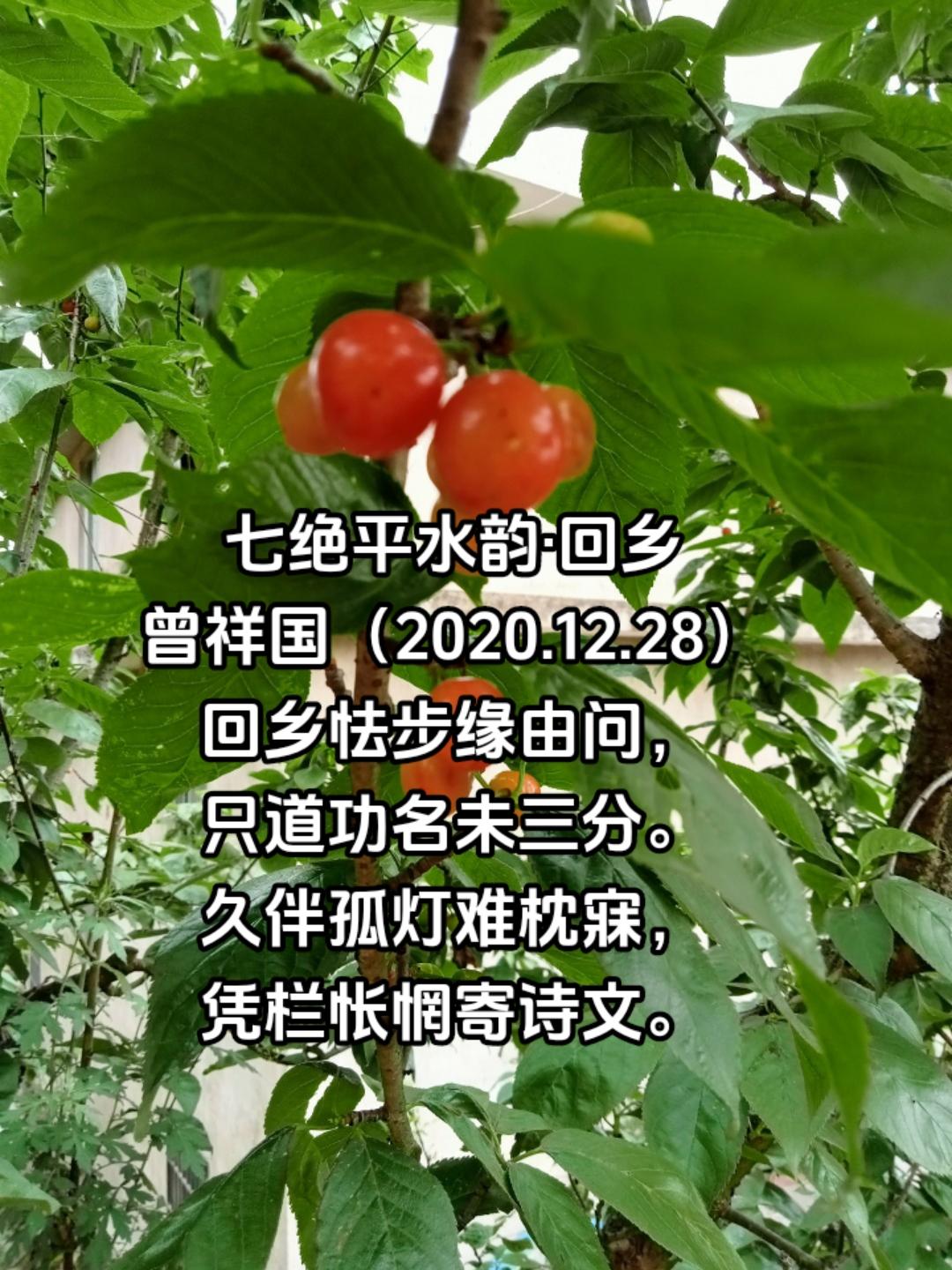 回乡