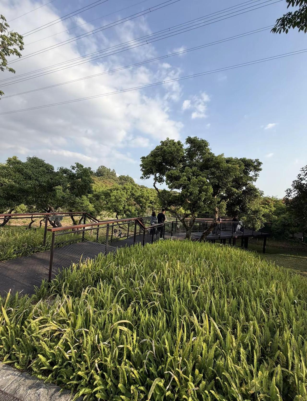 深圳的天气真的很怡人🐰穿衣自由👗