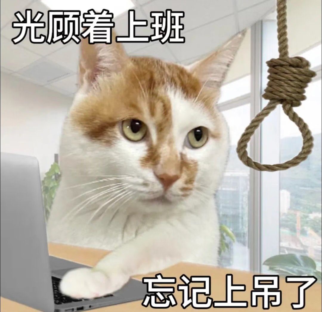 我真的要崩溃了 
