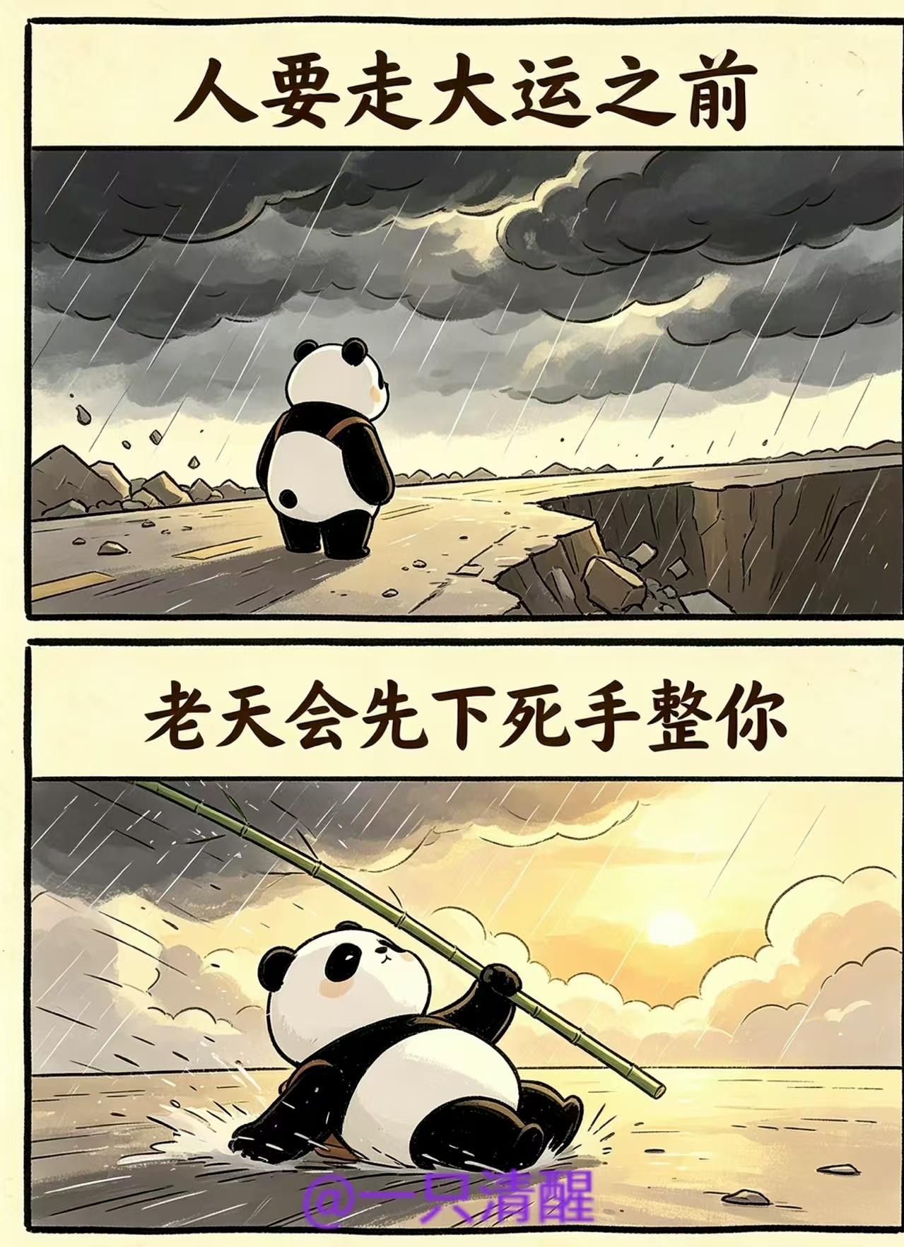 万丈深渊也是前程万里