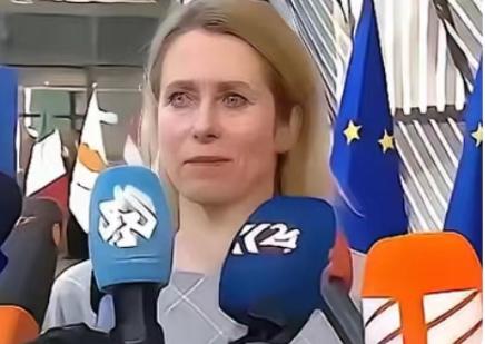 欧盟的官宣再次震惊了全世界：从今年开始，一切与中国有关的科研机构，都将没有资格参