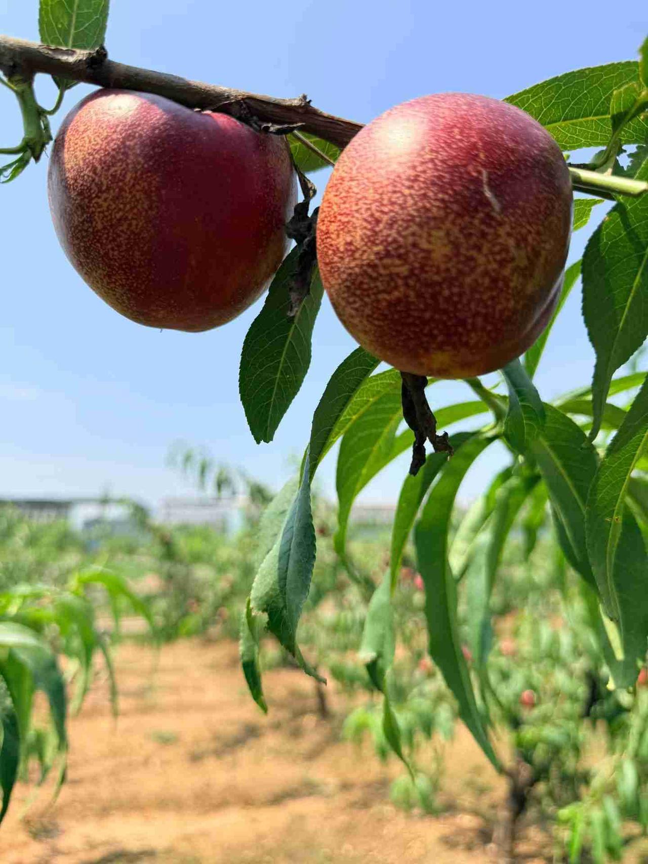 我的今日状态：😁轻松愉快
我这里的天气：☀️晴天