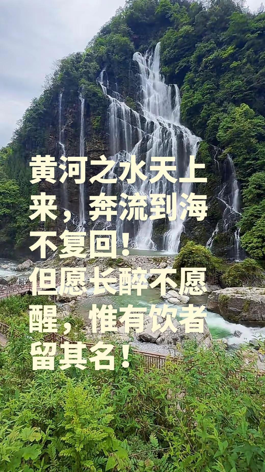 将进酒，杯莫停。与君歌一曲，请君为我倾耳听！京剧