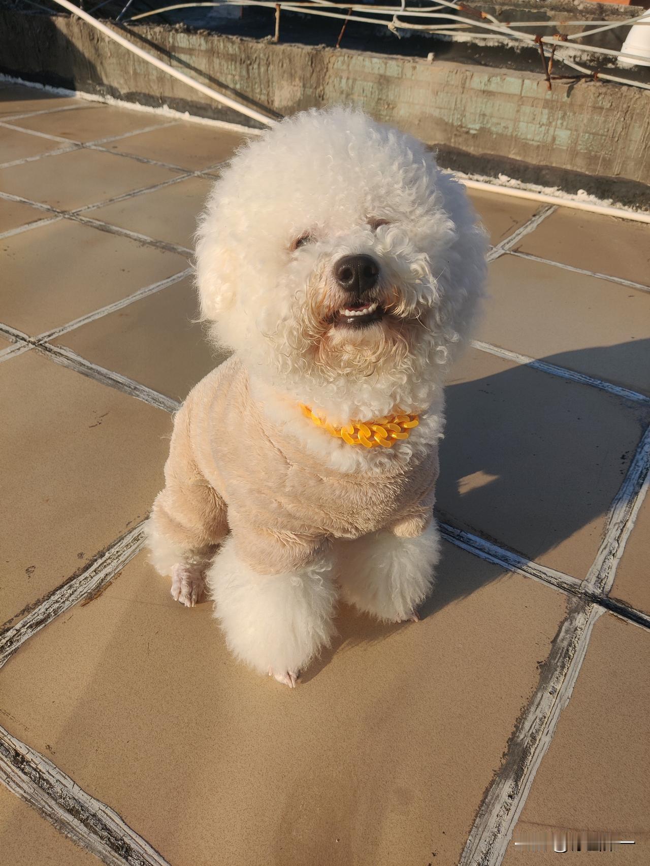 本月只有14个交易日，
有时候真的很羡慕在证券公司上班的人，
每天上班的时间4个