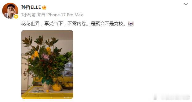 ELLE主编 是聚会不是竞技ELLE主编疑似明涵VOGUE ELLE主编深夜发文