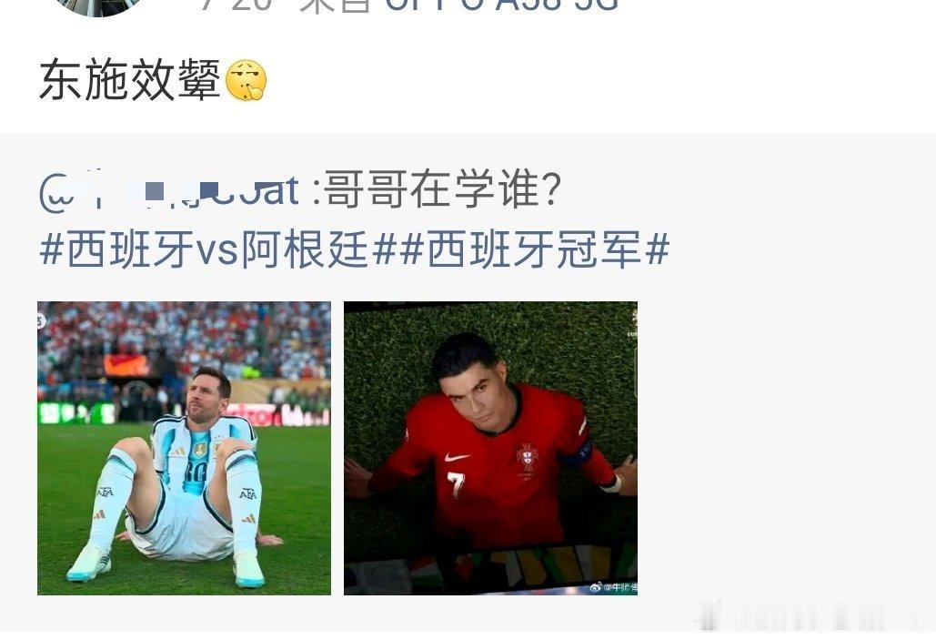 阿伟罗粉让我幻视了某个群体，感觉集体智商堪忧 