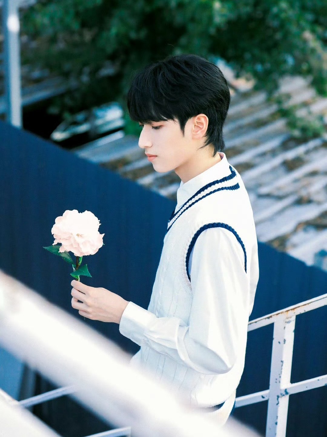 学长💐 