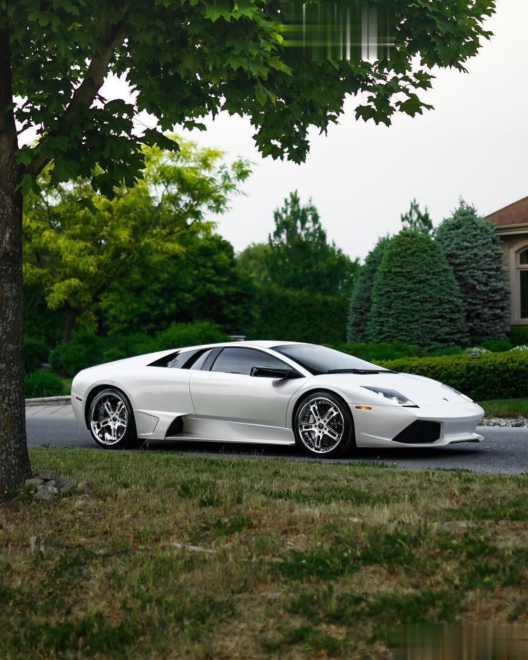 Lamborghini Muricelago LP640-4 🤍#Murice