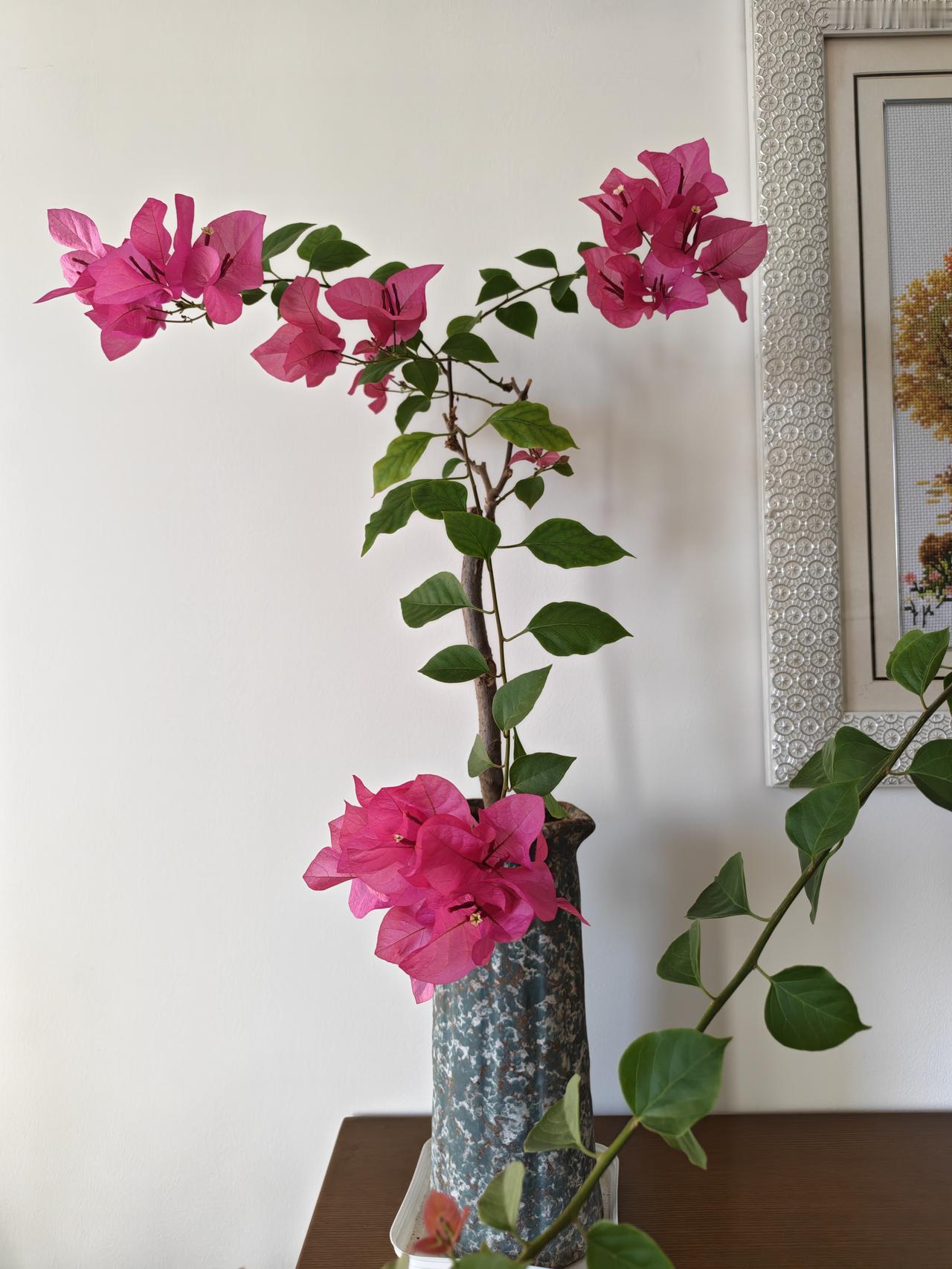 让自己开心，让烦恼走开！
美好生活要自己打造！少操别人的心，管好自己的事。